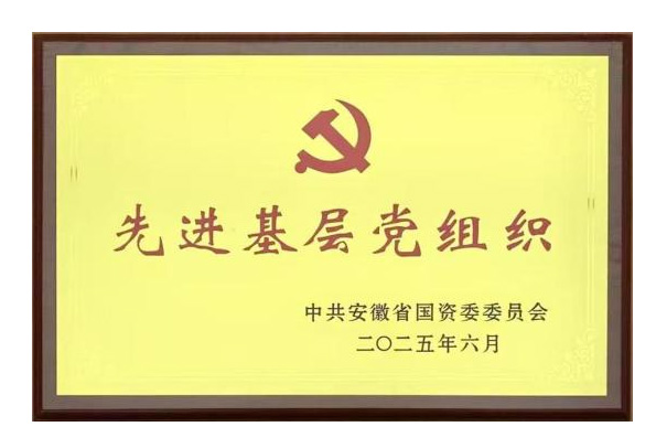 市政设计二院党支部荣获“安徽省省属企业先进基层党组织”称号
