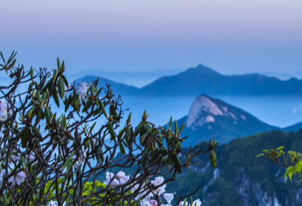 安徽省文旅投控集团召开2025年第二次党委理论学习中心组（扩大）学习会