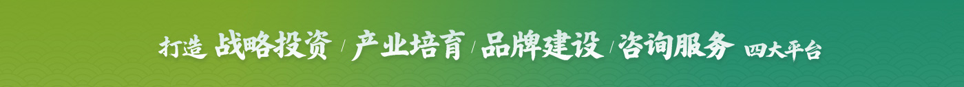 产业布局四大平台