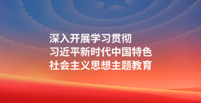 深入开展学习贯彻习近平新时代中国特色社会主义思想主题教育