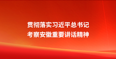 贯彻落实习近平总书记考察安徽重要讲话精神