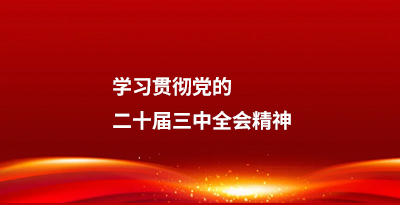 学习贯彻党的二十届三中全会精神