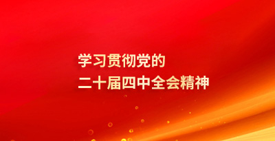 学习贯彻党的二十届四中全会精神